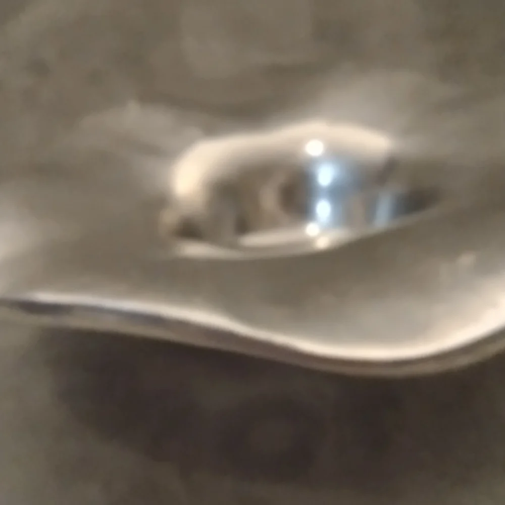 Elegant Silver Decorative Bowl